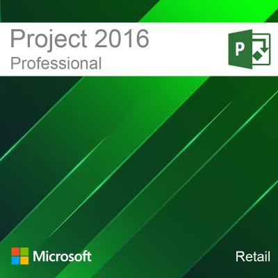 project_2016_professional